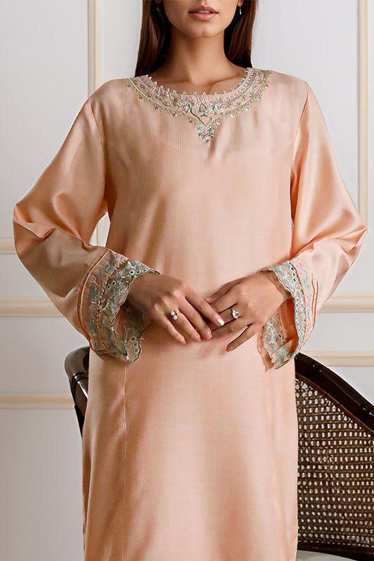 Luxury Pret Embroidered Zari Filament Stitched 2 Piece